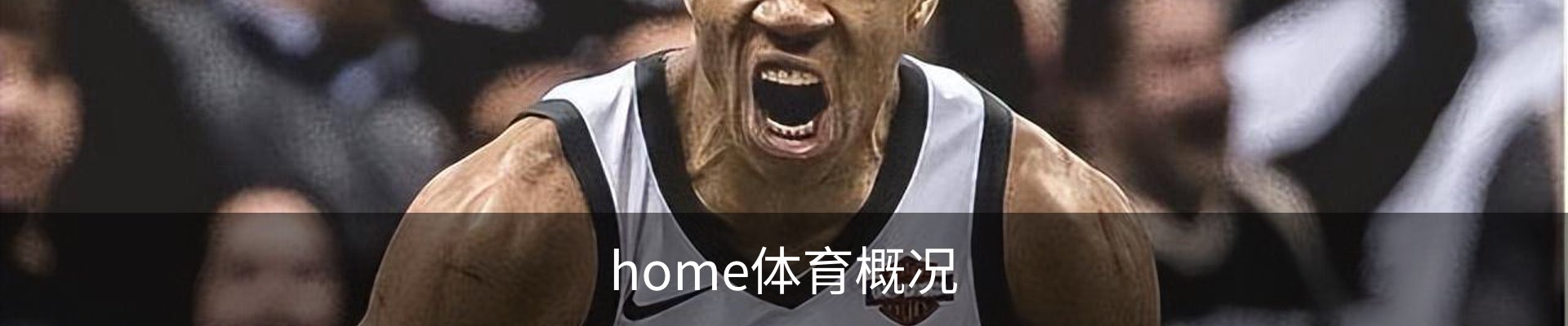 home体育概况